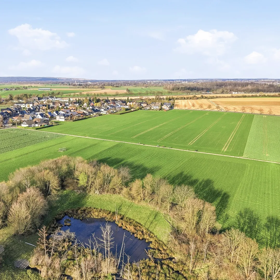 Luftaufnahme des Martinus Quartiers in Langerwehe D'horn mit Feldern, Ortsrand und angrenzendem Teich